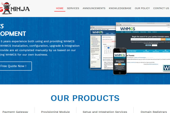 I will develop custom modules and themes