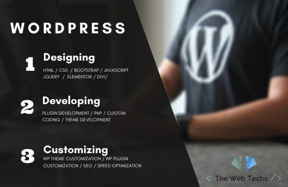 I will develop or design a wordpress website and wordpress blog