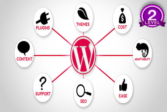 I will develop professional wordpress website for you