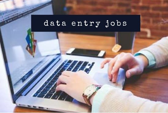 I will do any data entry job