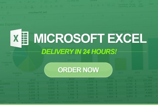 I will do any microsoft excel spreadsheet task in 24 hours