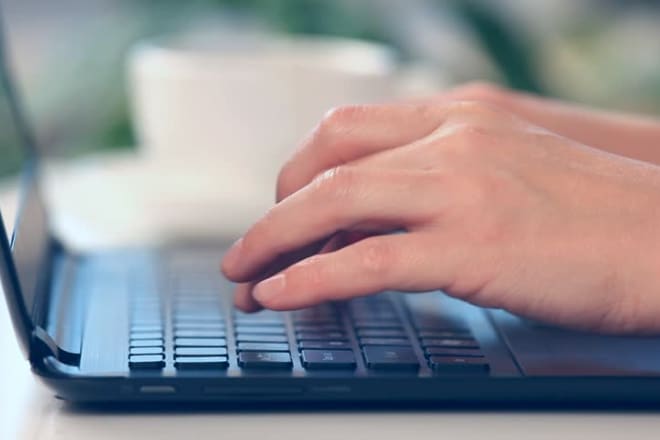 I will do brilliant online and offline data entry