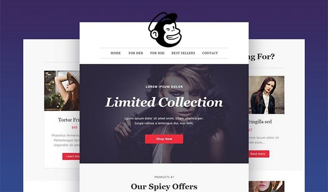 I will do custom mailchimp template design and automation