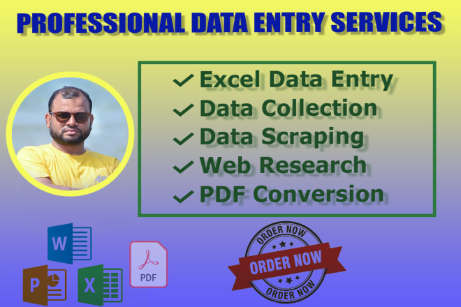 I will do data entry work in excel spreadsheet