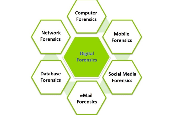 I will do digital forensics, data recovery, cybercrime investigation