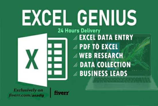 I will do excel data entry