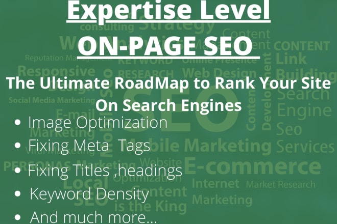 I will do expertise level onpage seo