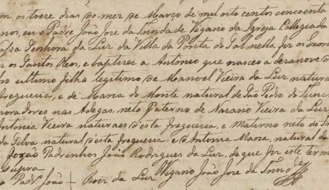 I will do genealogical and ancestry research for your family tree