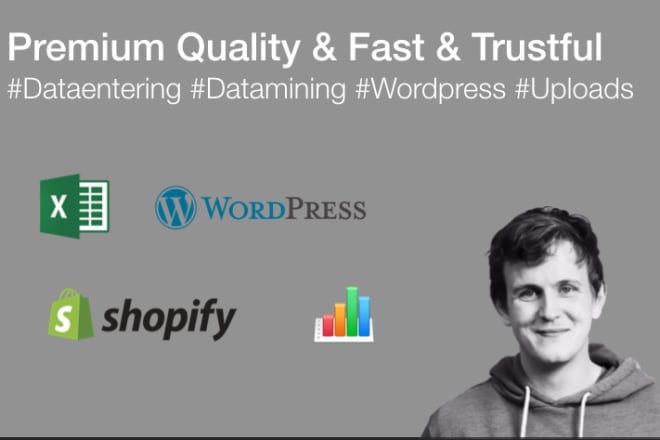 I will do high quality data entry and research work