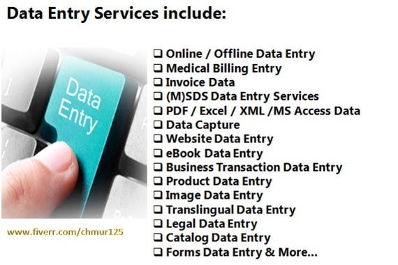 I will do online and offline data entry jobs