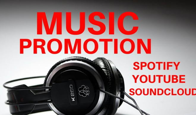 I will do organic spotify music promotion