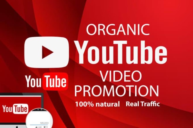 I will do organic youtube promotion for your videos