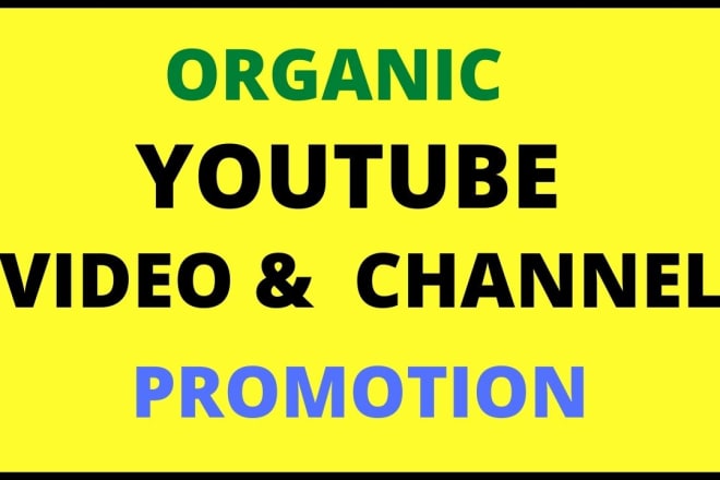 I will do organic youtube video and channel promotion with seo