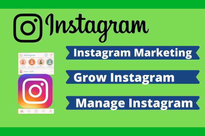 I will do organically manage instagram, instagram growth