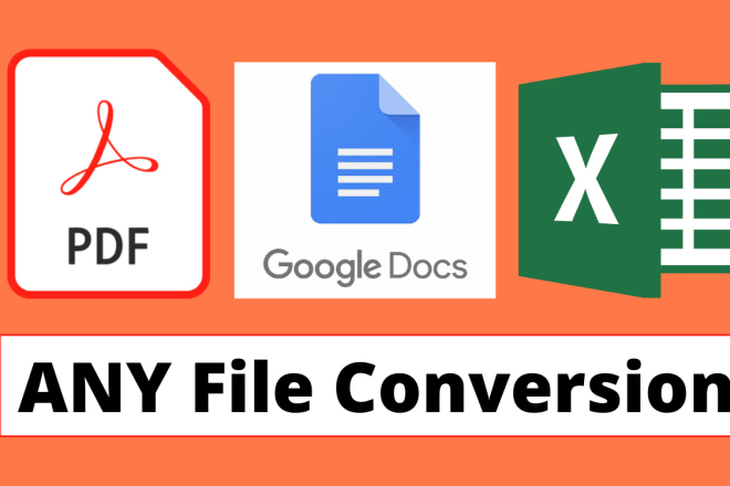 I will do pdf conversion, google docs and excel conversion
