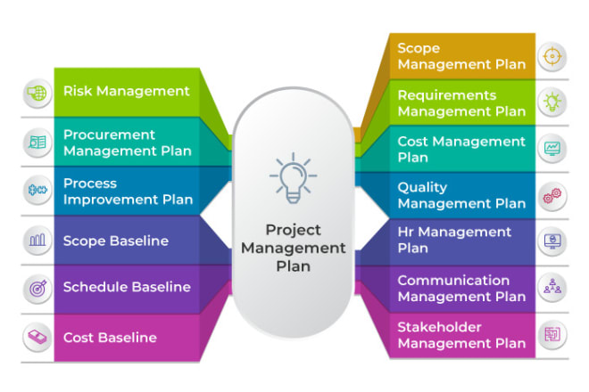 I will do project management, business management and human resource management