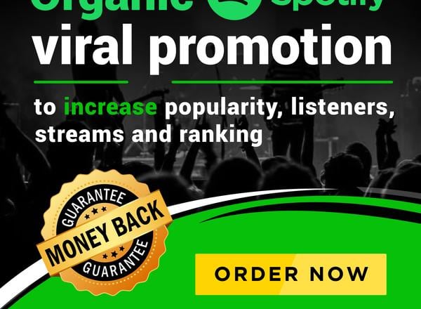 I will do spotify music promotion and playlist submission campaign to 2743 big curators