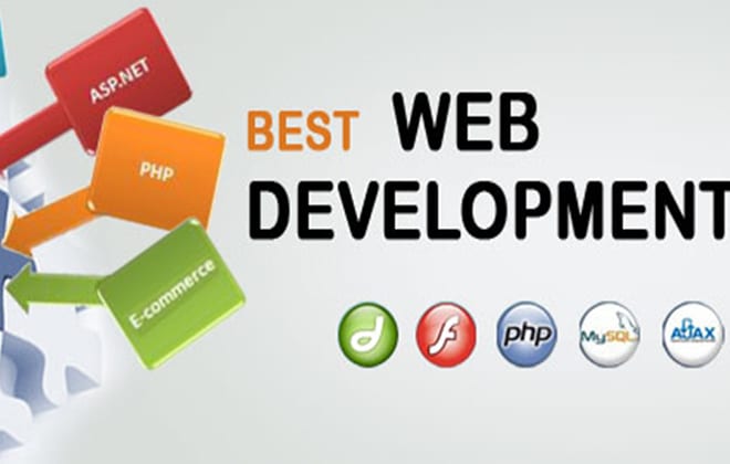 I will do web programming and web developing