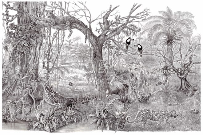 I will draw realistic pencil hand drawing illustration