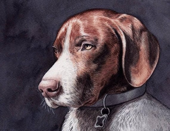I will draw realistic pet portrait of your cat, dog or any pets