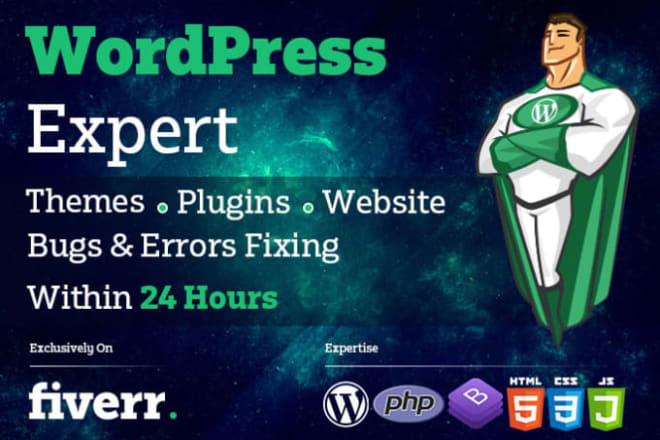 I will fix wordpress issues, widgets, plugins or do custom work