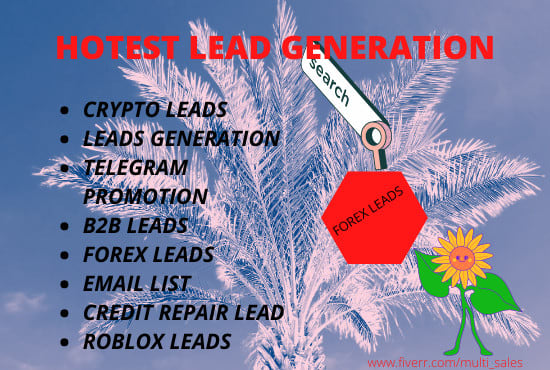 I will generate verified lead b2b lead credit repair lead email list cryp lead for you