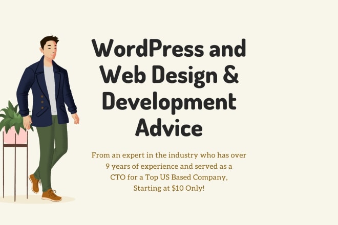 I will give advice on wordpress, web design or web development