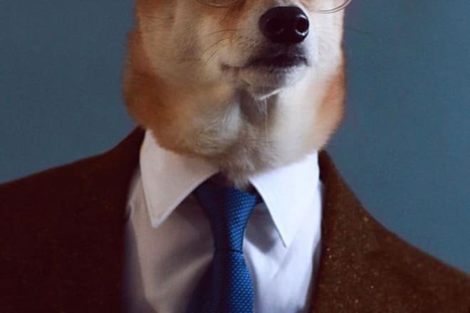 I will illustrate realistic pet portrait of your dog and cat