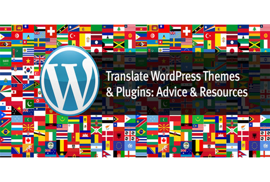 I will install, customize,translate wordpress theme and plugins