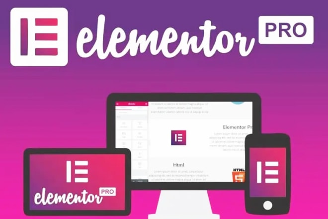 I will install elementor pro on your wordpress website