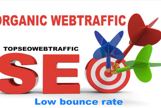 I will invite organic and targeted web traffics to your website,website promotion