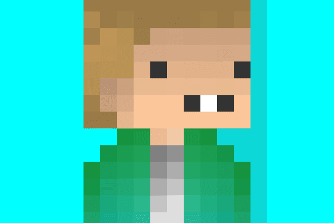 I will make you a minecraft profile picture from your skin