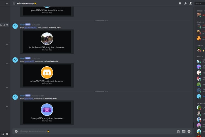 I will make you a professional discord server