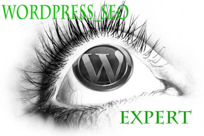 I will manually update wordpress to latest version