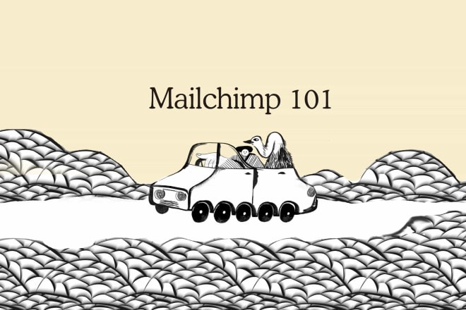 I will maximize your results through effective mailchimp email marketing flows