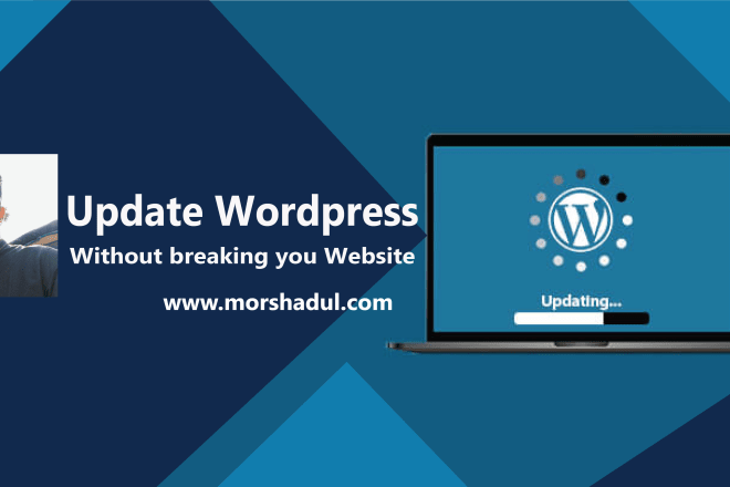 I will modify or update any wordpress website pretty swiftly
