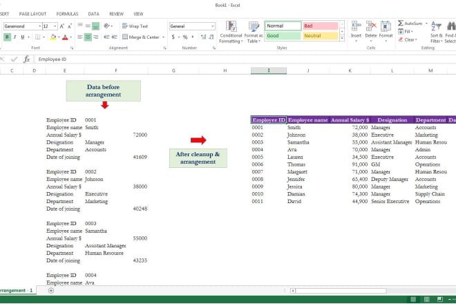 I will perform data cleaning in excel