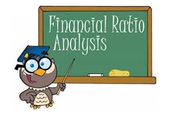 I will perform financial analysis and interpretation