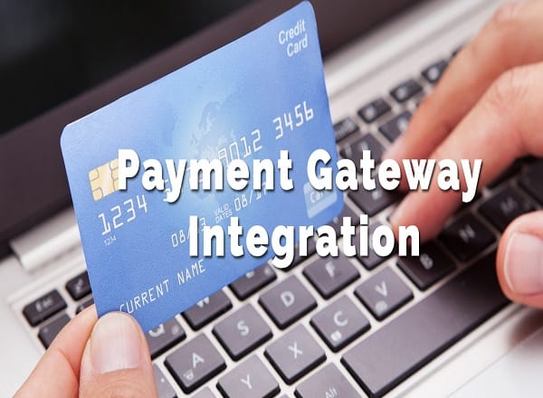 I will pro integrate paypal, stripe or 2checkout payment gateway for your shopify store