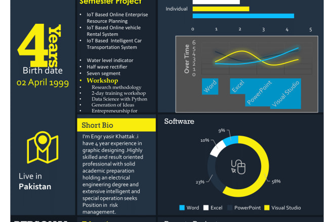 I will professional infographic resume design or CV service