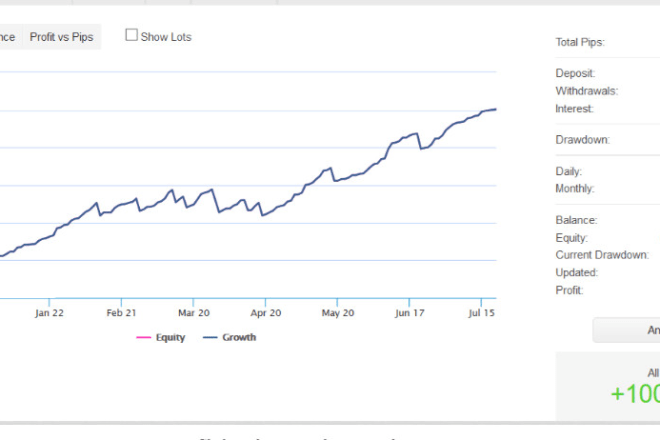 I will profitable mt4, mt5, ea aux USD vps server no loss bot