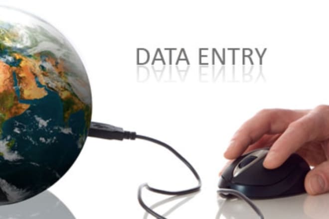 I will provide data entry and document conversion services