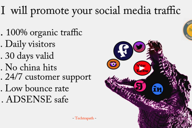 I will provide original social media traffic