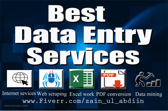 I will provide you best data entry services