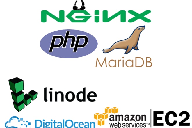 I will run a lemp or lamp stack in your cloud hosting