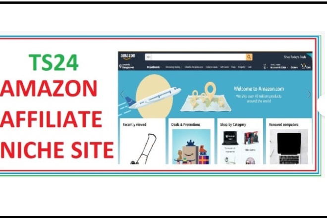 I will sell ready amazon affiliate niche site