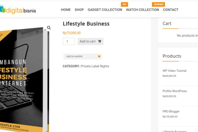 I will set up your website cms domain hosting etc