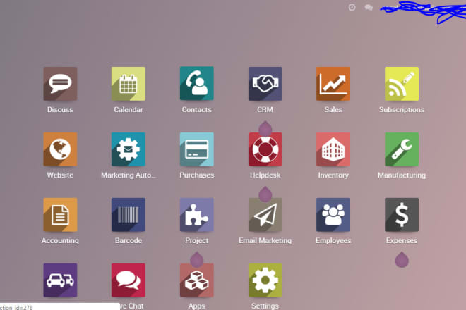 I will setup odoo enterprise with custom development, custom themes