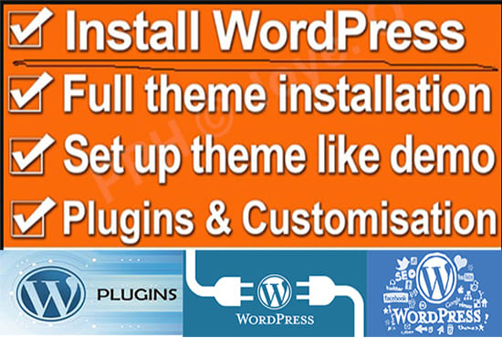 I will setup wp theme and basic customization