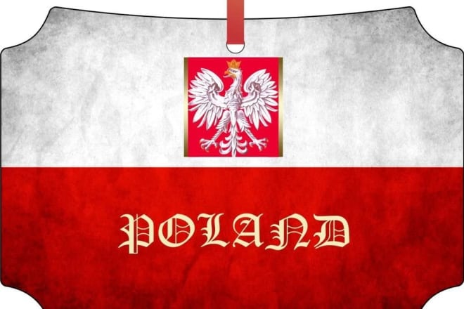 I will translate into polish from english, russian or ukrainian